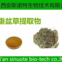垂盆草提取物 20:1 原料提取 可試樣