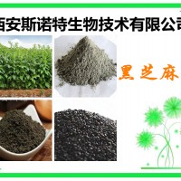 黑芝麻提取物  黑芝麻粉 原料萃取加工