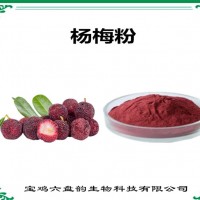 楊梅濃縮粉 楊梅粉 比例提取可定制 植物萃取原料
