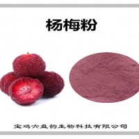 楊梅速溶粉 水溶性楊梅粉 固體飲料壓片糖果原料