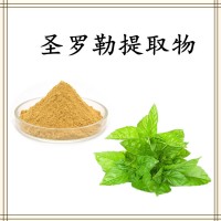 圣羅勒提取物 精細粉末 溶解性好 規格多支持定制生產
