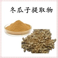 冬瓜子提取物 精細粉末 溶解性好 規格多支持定制生產