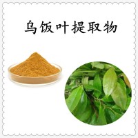 烏飯葉提取物 精細粉末 溶解性好 規格多支持定制生產