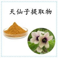 天仙子提取物 精細粉末 溶解性好 規格多支持定制生產