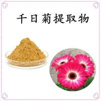 千日菊提取物 棕黃精細粉末 溶解性好 規格多支持定制生產