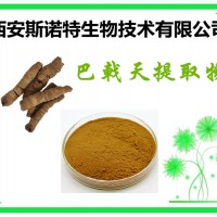 巴戟天提取物 巴戟天粉 可試樣 精細粉末