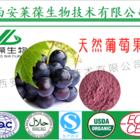 天然葡萄果粉 葡萄汁粉 天然果蔬粉 廠家