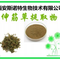 伸筋草速溶粉 伸筋草粉 石松速溶粉 包郵