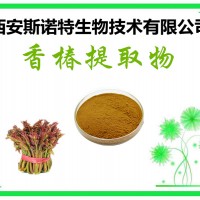 香椿葉速溶粉 香椿葉粉  現(xiàn)貨包郵 生產(chǎn)廠家