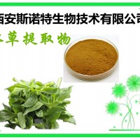冰草多糖 冰草提取物  可試樣 生產(chǎn)廠家