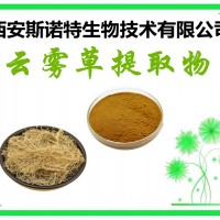 云霧草提取物 云霧草提取 包郵 斯諾特現(xiàn)貨
