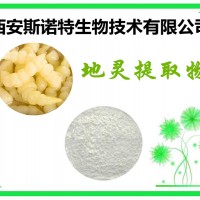 地靈提取物 比例提取物 原料萃取 供應