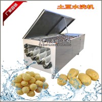連續(xù)式土豆水洗機紅薯蓮藕洗泥機全自動洗白蘿卜機器