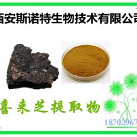 喜來芝提取物 喜來芝粉 三原工廠 sinuote