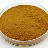 sinuote供應 藤茶提取物 二氫楊梅素50%