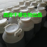 金牛草提取物濃縮粉 供應植物提取物定制混合萃取原液