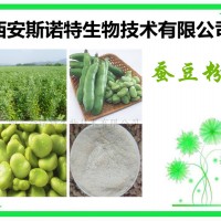 蠶豆粉 蠶豆多糖 植物萃取 廠家供應