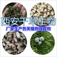 金盞草提取物濃縮粉 供應植物提取物定制混合萃取原液