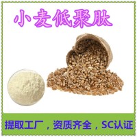 小麥低聚肽