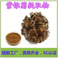 紫錐菊提取物 獸藥保健原料