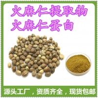 火麻仁蛋白 工廠發(fā)貨 量大價(jià)優(yōu)
