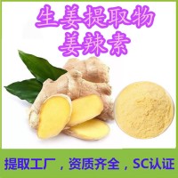 生姜提取物 藥食兩用