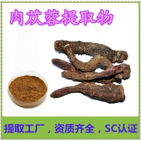 肉蓯蓉提取物 新食品原料