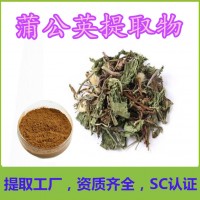 蒲公英提取物 新食品原料
