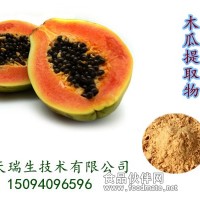 木瓜粉 食品飲料