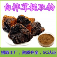 白樺茸提取物