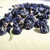 黑枸杞花青素