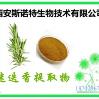 迷迭香提取物 60%鼠尾草酸 斯諾特加工萃取
