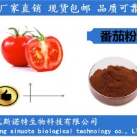 番茄粉 番茄濃縮粉 番茄提取物廠家優惠