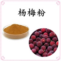 楊梅濃縮汁粉 高倍濃縮 固體飲料原料 可免費試樣