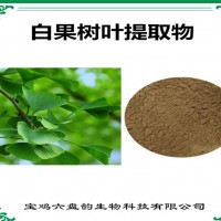 白果樹葉提取物 白果樹葉粉 可定制生產