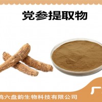 黨參提取物 黨參粉 可定制生產