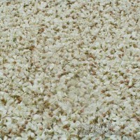 槐花提取物 豆槐、白槐 金藥樹