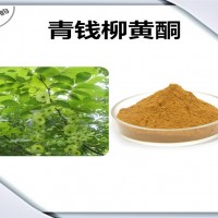 青錢柳提取物 青錢柳黃酮 植物提取物