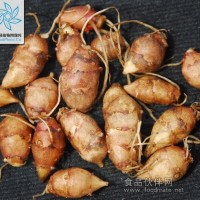 洋姜提取物/菊芋提取物/洋姜粉/菊粉