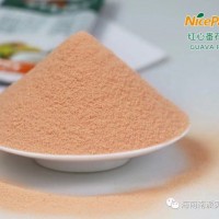 食品級番石榴粉，紅心芭樂粉供應，海南水果粉生產廠家