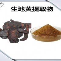 生地黃提取物 生地黃粉 可定制生產