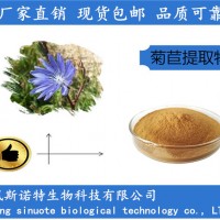 菊苣提取物 源頭廠家 水溶性菊苣粉
