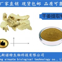 干姜提取物 扶風斯諾特工廠 10:1干姜粉