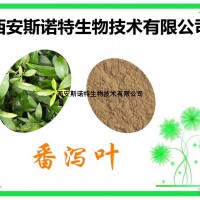 番瀉葉粉 番瀉葉提取物 提取物 常年種植