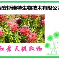 紅景天提取物 20:1 提取物 斯諾特包郵