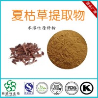 夏枯草提取物 工廠特價 速溶夏枯草粉原料