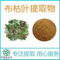 布枯葉提取物 工廠供應(yīng)