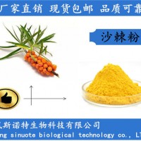 食品級(jí)沙棘粉 水溶性好 色澤好