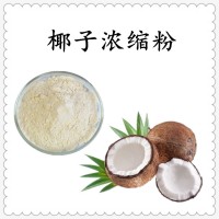 椰子濃縮汁粉 庫存充足 長期供應 質量穩定 支持拿樣