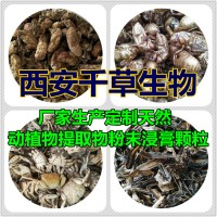 水溶性草果提取物草果粉 廠家供應多規(guī)格草果濃縮原液